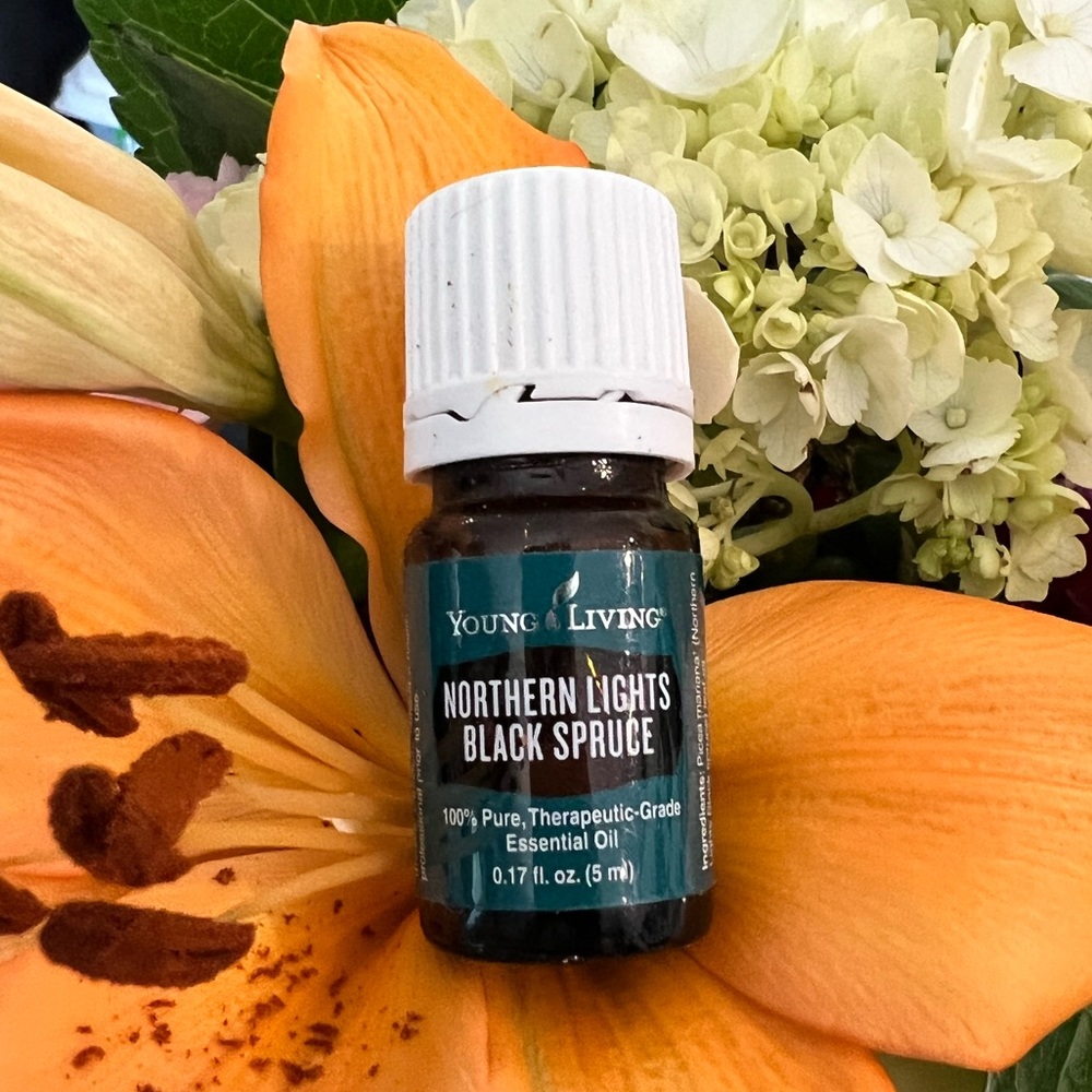 Young Living Essential Oil - Northern Lights Black Spruce 5ml